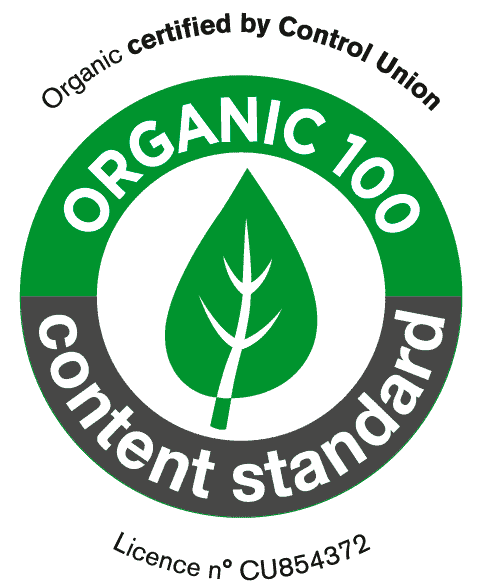 LOGO-OCS-2022