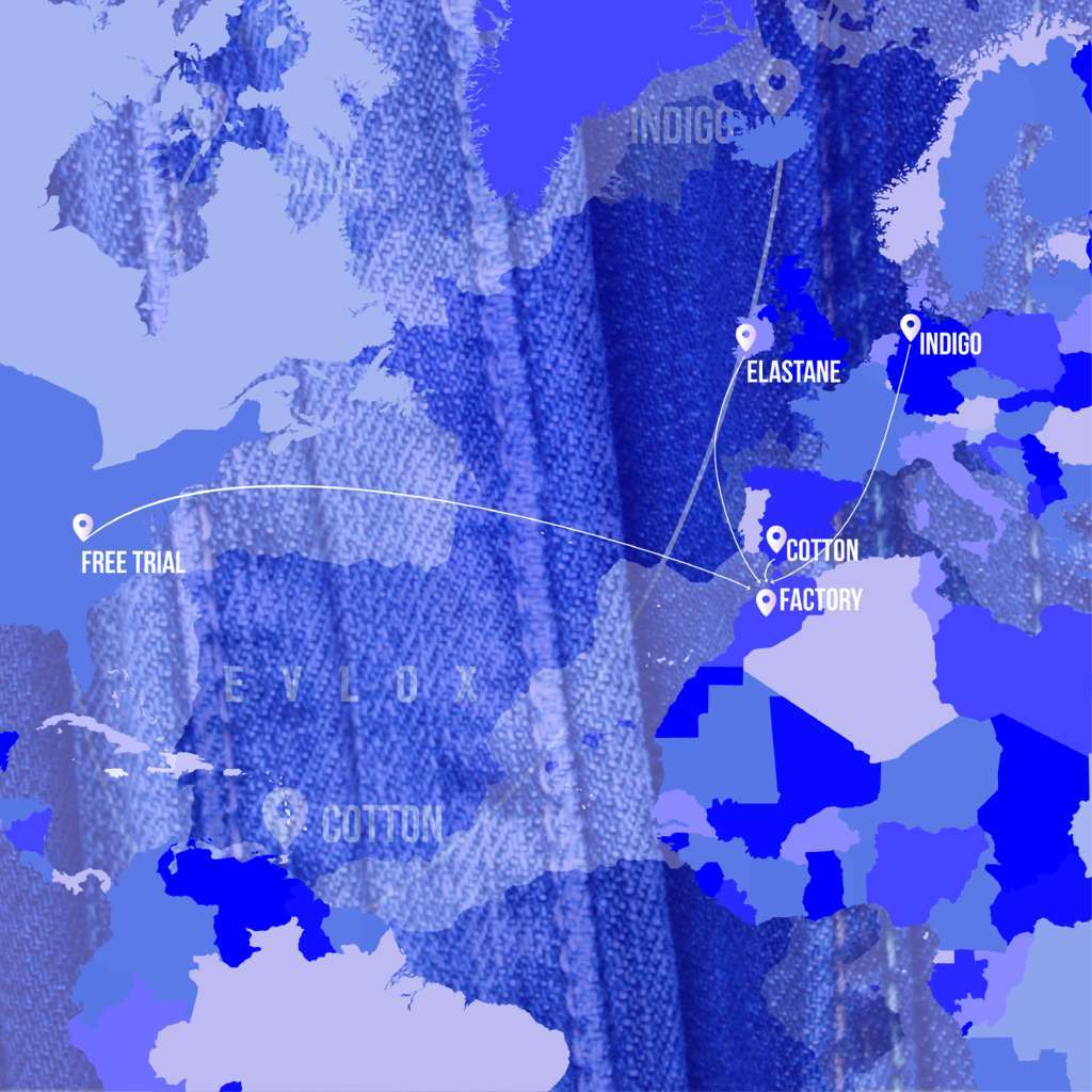 evlox worldwide